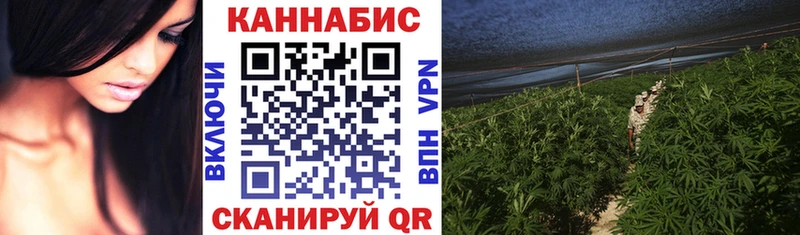 даркнет сайт  Магнитогорск  blacksprut как войти  даркнет телеграм  Канабис индика 